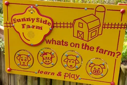 Farm Animals Activity / Sensory Playboard - Playground Equipment