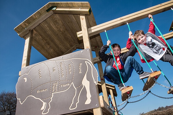 News Rhug Feature | Creative Play Celebrate Opening Of New Playground At Rhug Estate | Creative Play