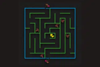 Cat & Mouse Maze (5m x 5m)