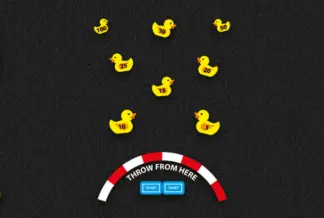 Duck Target (5m x 3m)