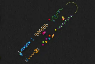 Sea Theme Trail (40m)