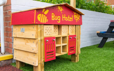 Step-By-Step Guide To Selecting Sustainable Playground Equipment
