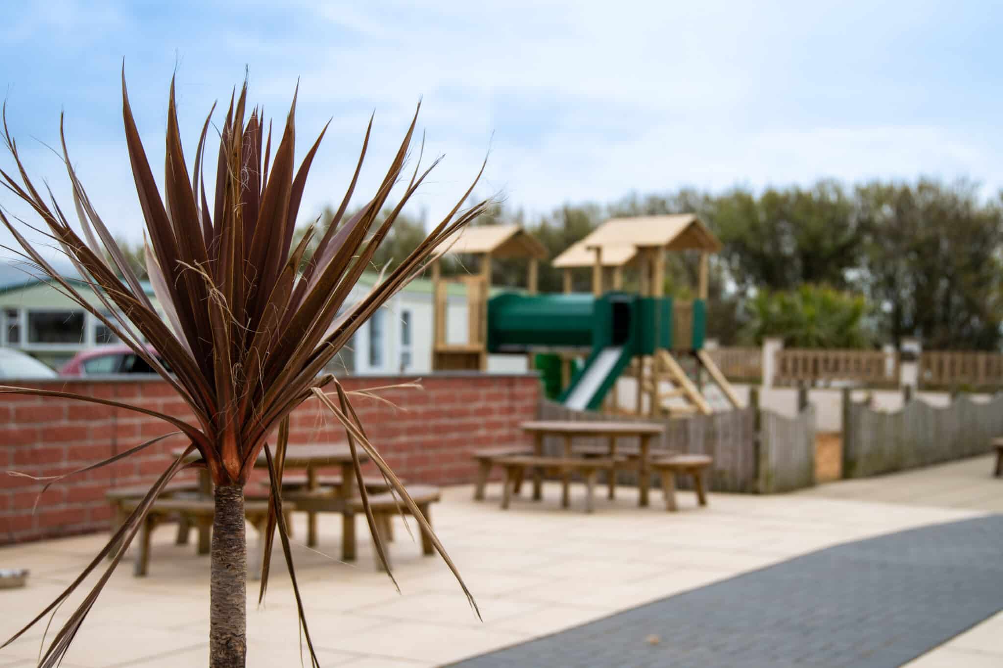 Playground towers system in front of caravans, dominated by an exotic red leaved tree in the foreground