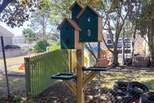 Bird Hotel - Image 5