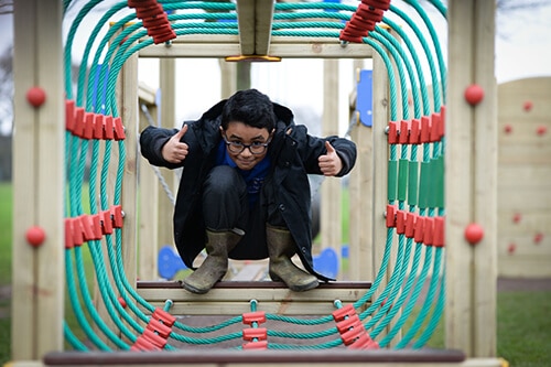 Crawling Net - Image 10