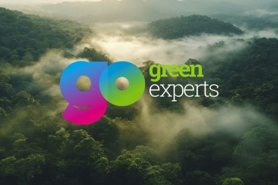 Go Green Experts Logo Logo for Net Zero consultancy Go Green Experts with rain forest background