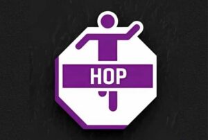 Octagonal Hop Sportspot (1m)