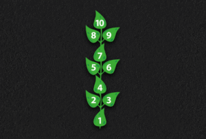 Leaf Hopscotch