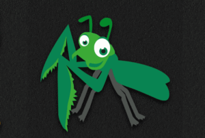 Insect 3 (1m)