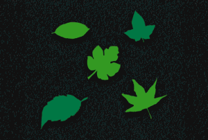Leaves