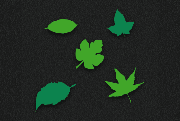 Leaves