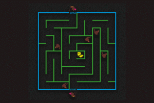Cat & Mouse Maze (5m x 5m)