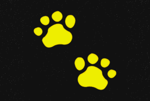 Bear Prints Playground Graphic