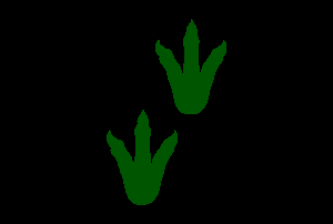 Dinosaur Prints Playground Graphic