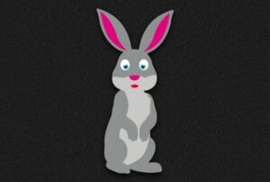 Rabbit (1m)