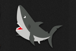 Shark