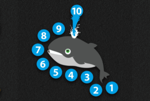 Whale Target 1.4m x 1.4m