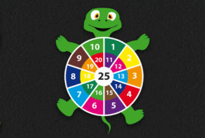 Turtle Themed Target 2.5m