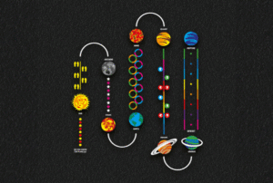 Solar Trail (11m x 9.5m)