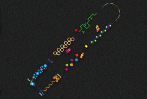Sea Theme Trail (40m)