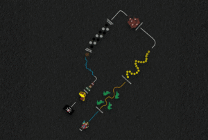 Pirate Trail