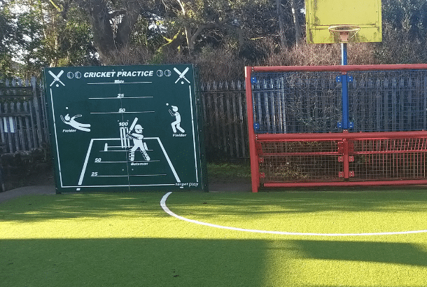 Cricket Target - Image 3