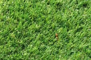 Artificial Grass Safety Surfacing