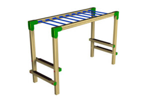 Overhead Ladder