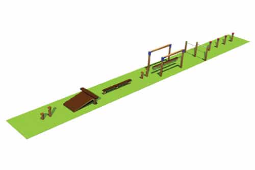 cp101 render