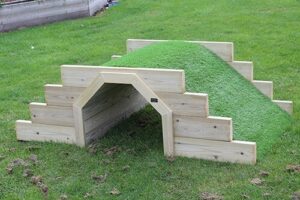 Tunnel Mound (Small)