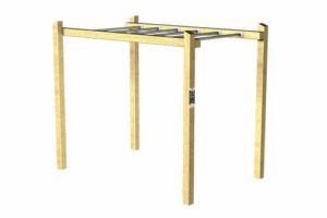 Overhead Ladder - Adult