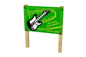 Bass Guitar
