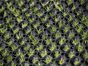 Grass Mats