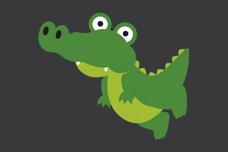 Croc - Image 2