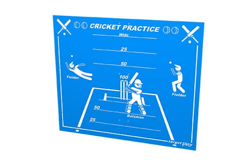 Cricket Target