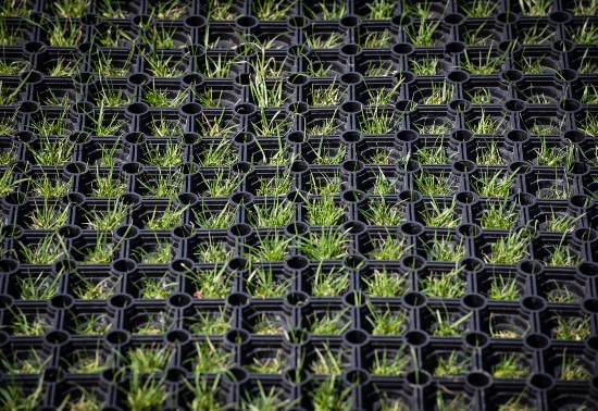 Close up of black grass mat, blades of grass poking through