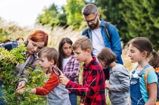 Four children and two adults outside investigating a bush